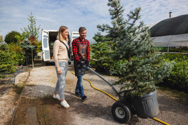 Pelican Bay, TX Tree Services Pros